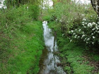 Rural Holiday Home, Wildlife Spotting From The Garden, Achterhoek