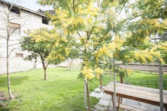 Tosca Apartment