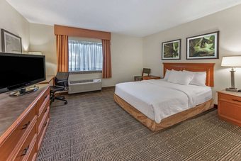 Hotel La Quinta Inn & Suites By Wyndham Tampa Brandon West