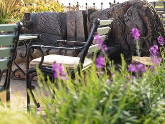 Ver fotos