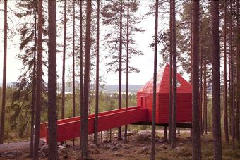 Cabana Tree Hotel