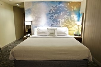 Hotel Courtyard Battle Creek