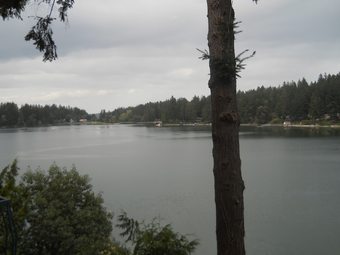 Hotel Oyster Bay Inn & Suites