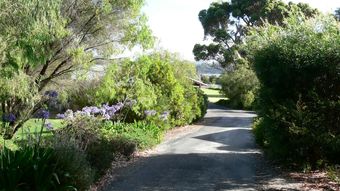 Spring Bay Villas