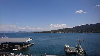 Ver fotos