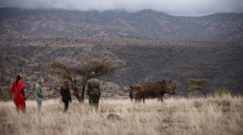 Elewana Lewa Safari Camp