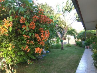 Hotel Stella Resort