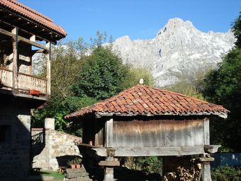 Hotel Casa Vieja