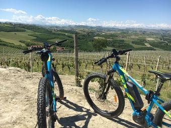 Bed & Breakfast Cascina Baresane