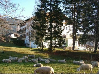 Hotel Due Pini