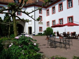 Apartamentos Schloss Triestewitz