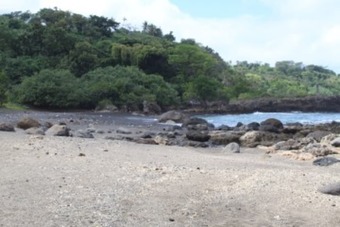 Ver fotos