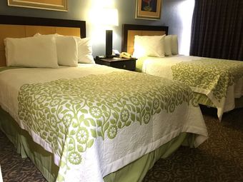 Hotel Days Inn & Suites By Wyndham Tampa Near Ybor City
