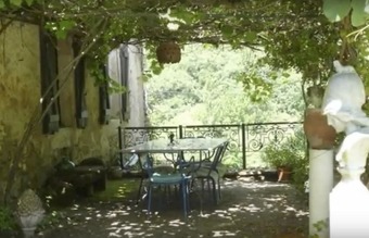 Ver fotos