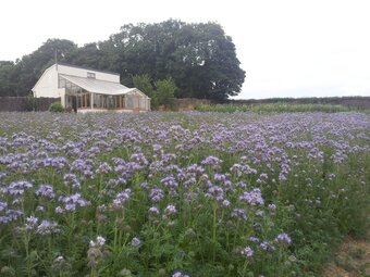 Croan Cottages Self Catering