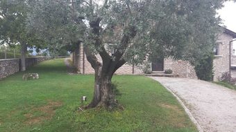 Agroturismo Antico Borgo Di Vallignano