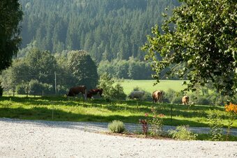 Landhotel Bayerwald
