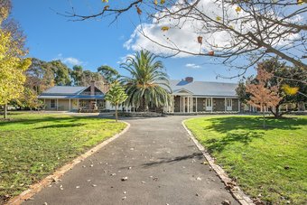 Ver fotos
