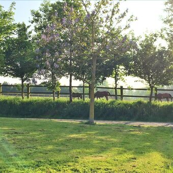 Hotel L'�tang Fleuri