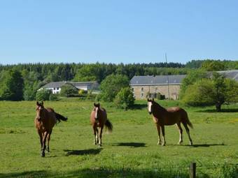 Chalet Smaragd Manhay