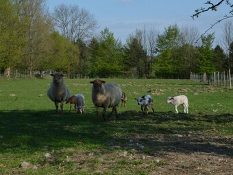 With A Broad View Over The Hilly Landscape