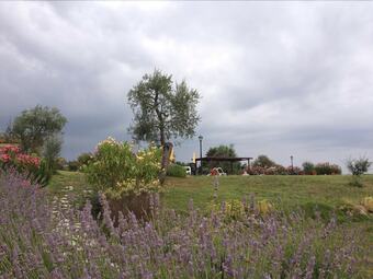 B&B Le Pergoline