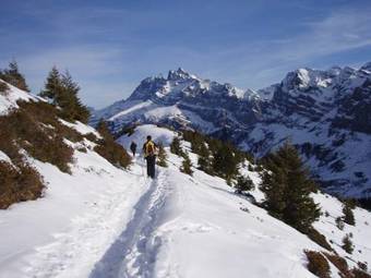 Hotel Des Alpes
