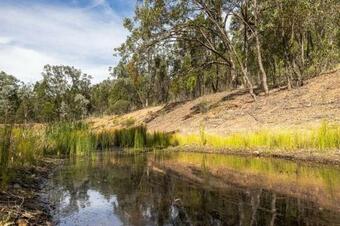 Green Tree Cottage By Your Innkeeper Mudgee