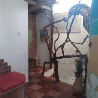 Ver fotos