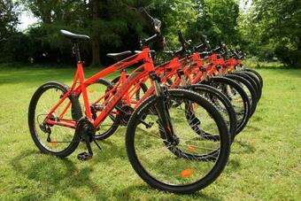 Hallines Chateau Sleeps 26 Wifi