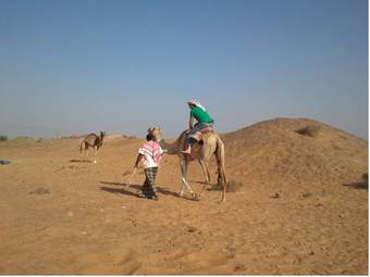 Desert Wonders Camp