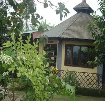 Hotel Rainforest