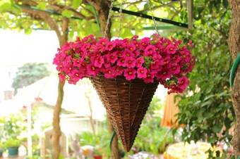 Ver fotos