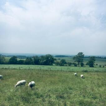 Bed & Breakfast Foxhill Fold