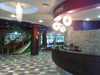 Hotel Drim