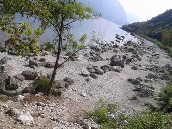 Ver fotos