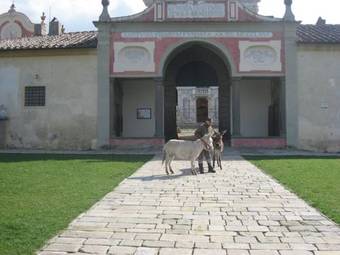 Agroturismo Al Palazzaccio