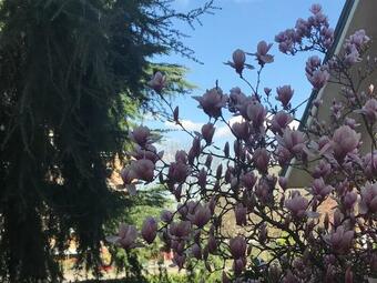 B&B Borgo Dei Fiori