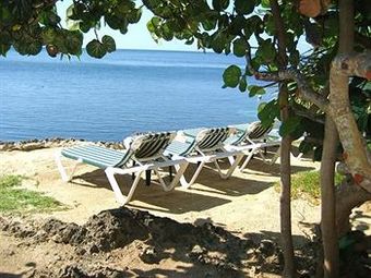 Hotel Las Rocas Resort And Dive Center
