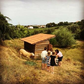 Glamping With Pool Near Caldas&peniche