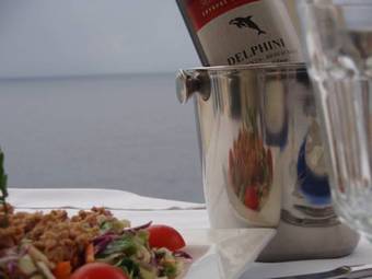 Hostal Delfini