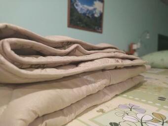 Albergue ?????