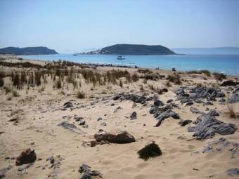 Hotel Capari Suites