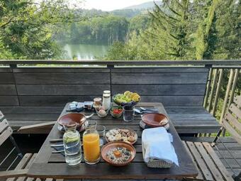 Hotel Vinica Castle