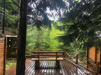 Forest House