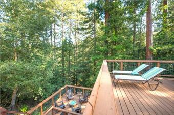 Tree Fort! Redwoods! Hot Tub!! Fire Table!! Google Smart Home!! Fast Wifi!! Dog Friendly!