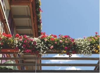 Hotel Alpenstern