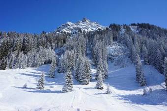 Hotel Alpenrose
