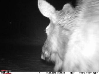 Ver fotos
