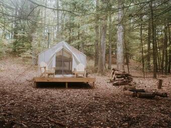 Tentrr - Forest With A Trout Creek